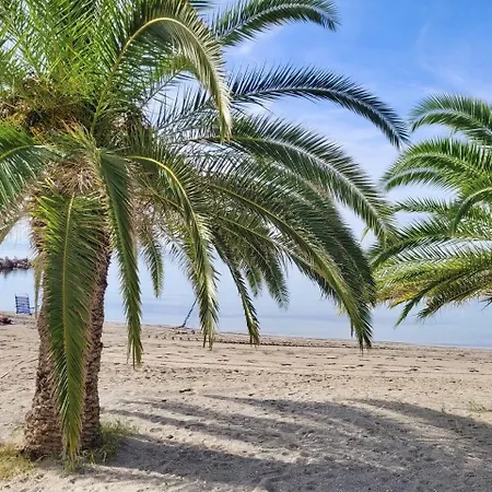2br Ocean View Apartment, Pool, شقة لا مانغا ذيل مار مينور